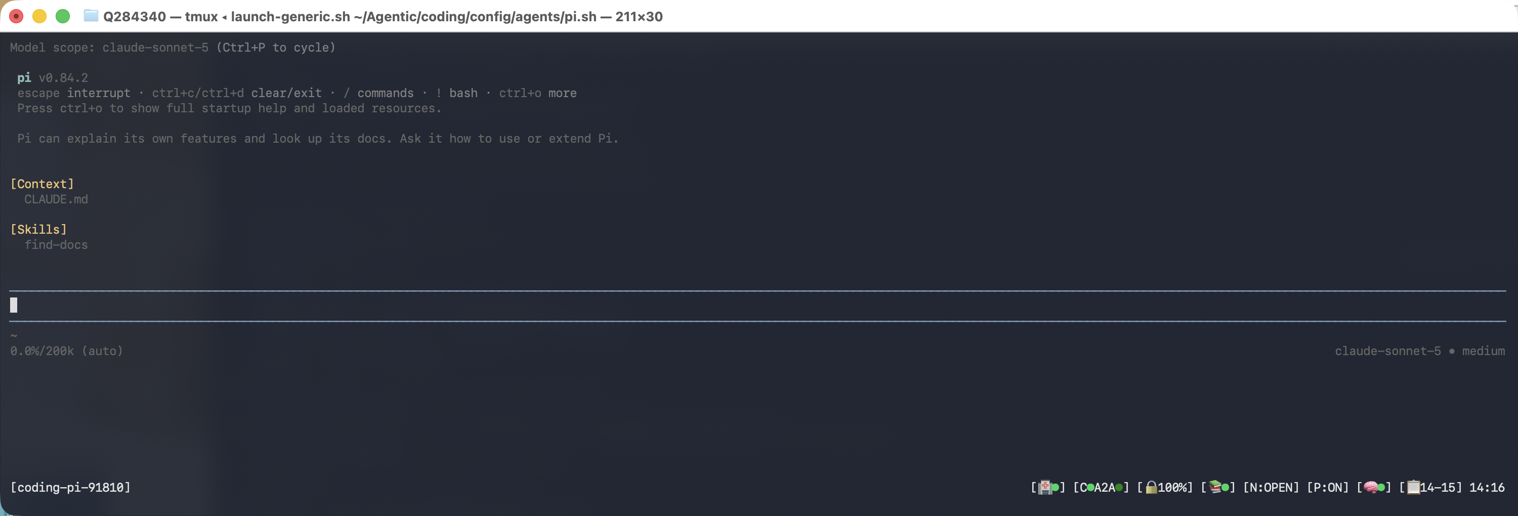Pi running in coding