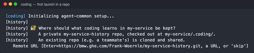First launch in a repo